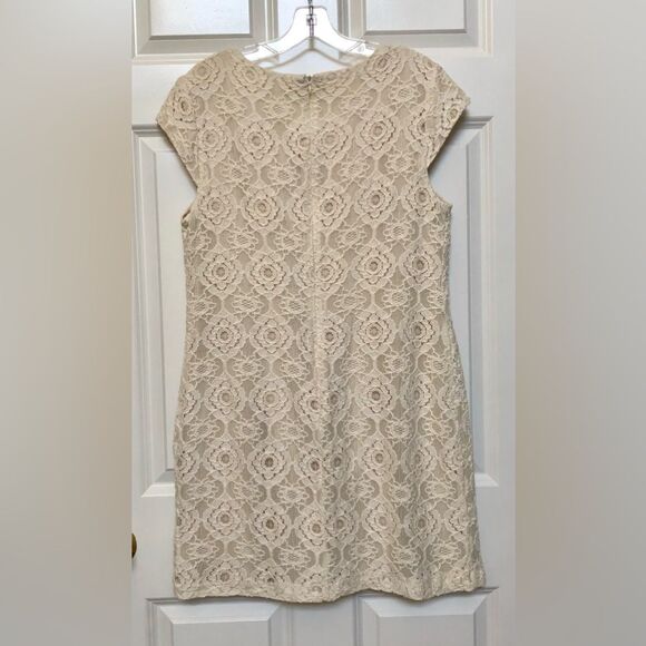 DRESS BEIGE LACE MINI WOMEN'S SIZE 23 STUDIO I SHEATH BEADED NECK DETAIL - Picture 4 of 8